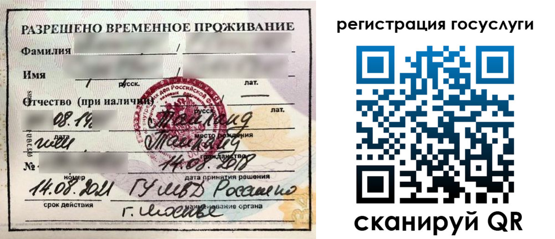 прописка в Тосно